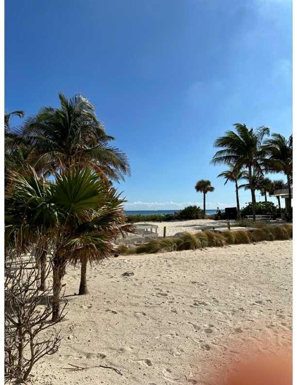Ocean View And On Ocean 2 Bedroom Floor *